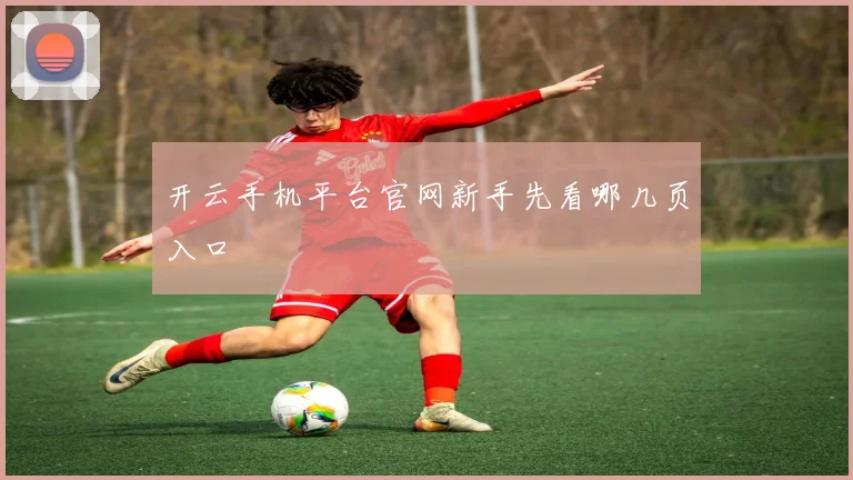开云手机平台官网新手先看哪几页入口